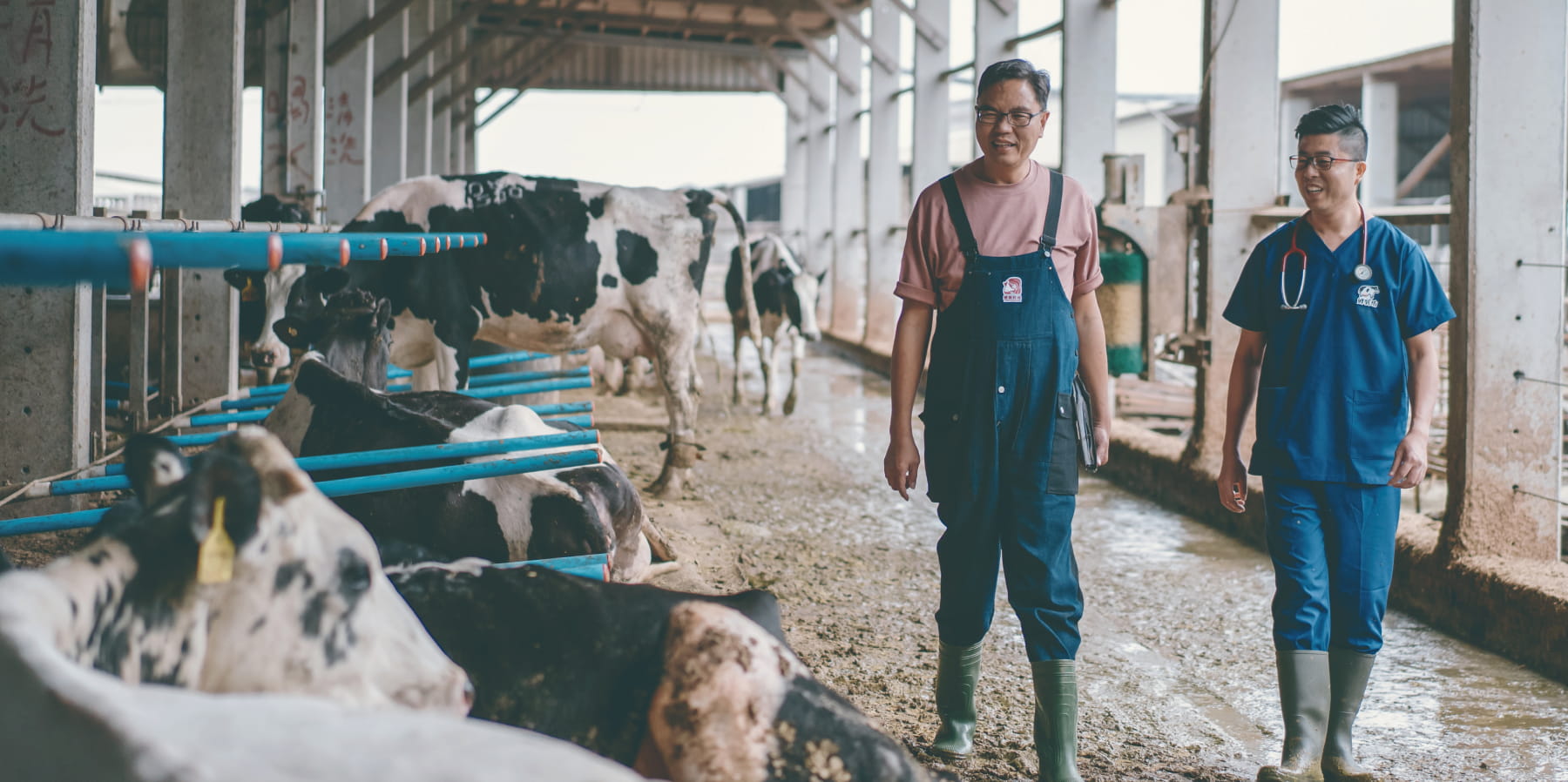 關於鮮乳坊和「利害關係人們」變成夥伴的那件事