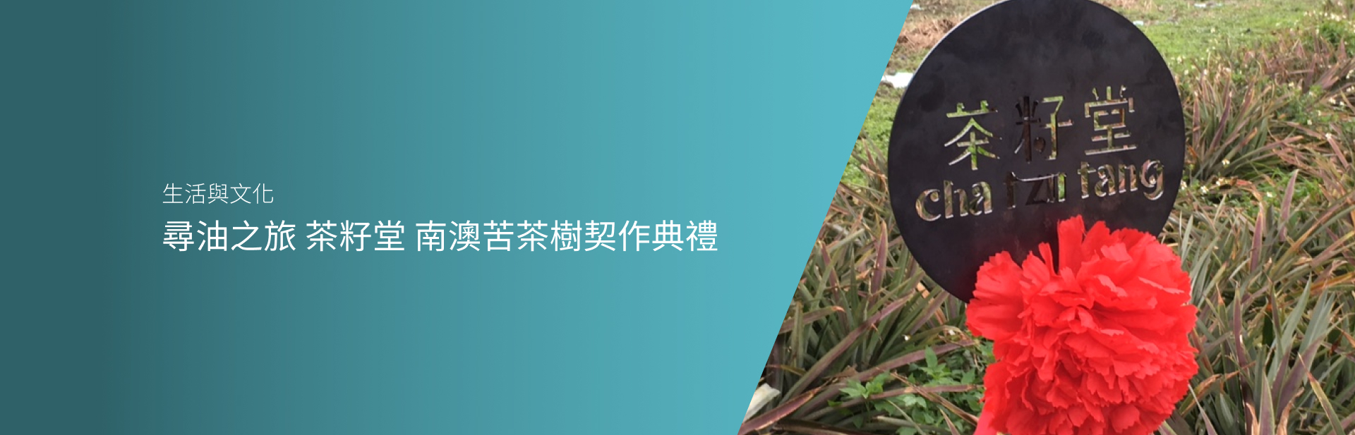 尋油之旅   茶籽堂 南澳苦茶樹契作典禮