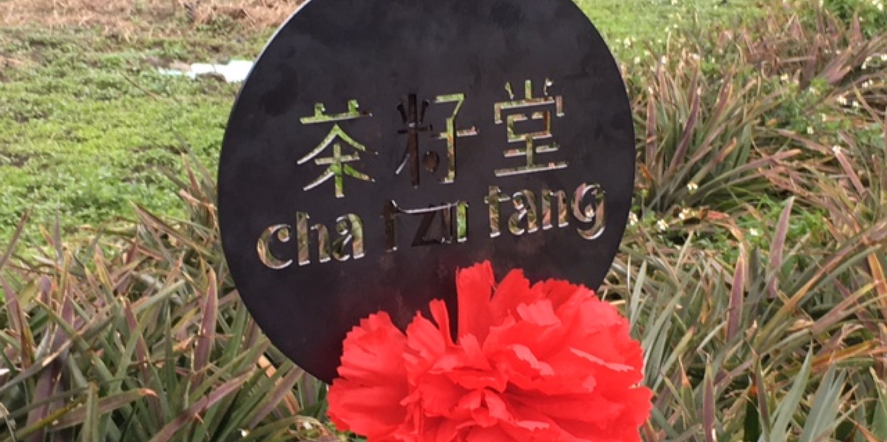 尋油之旅   茶籽堂 南澳苦茶樹契作典禮