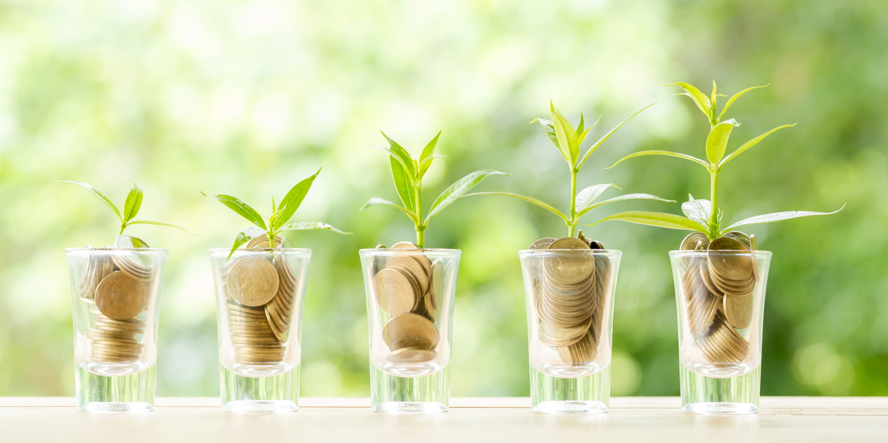 好暖心！嘉威會計師事務所全額補助員工出國退費損失