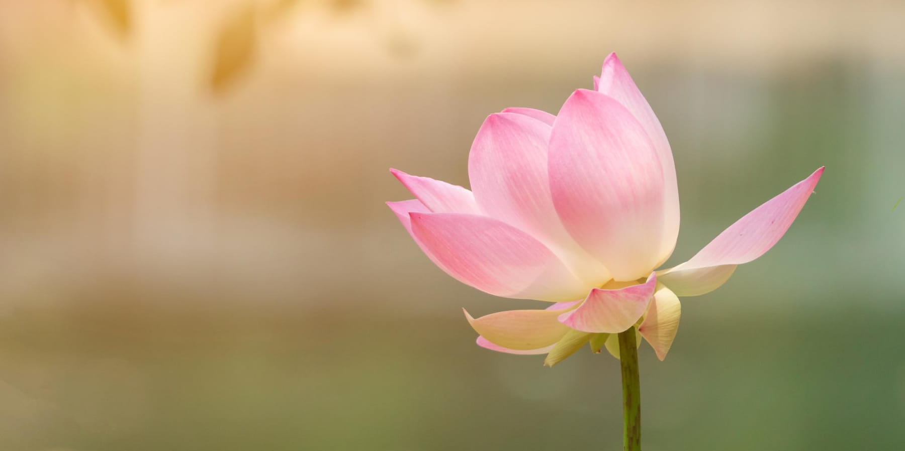 知福 惜福 再造福