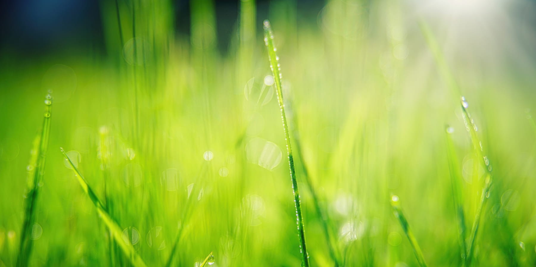 以年輕人為師，兩代共治
