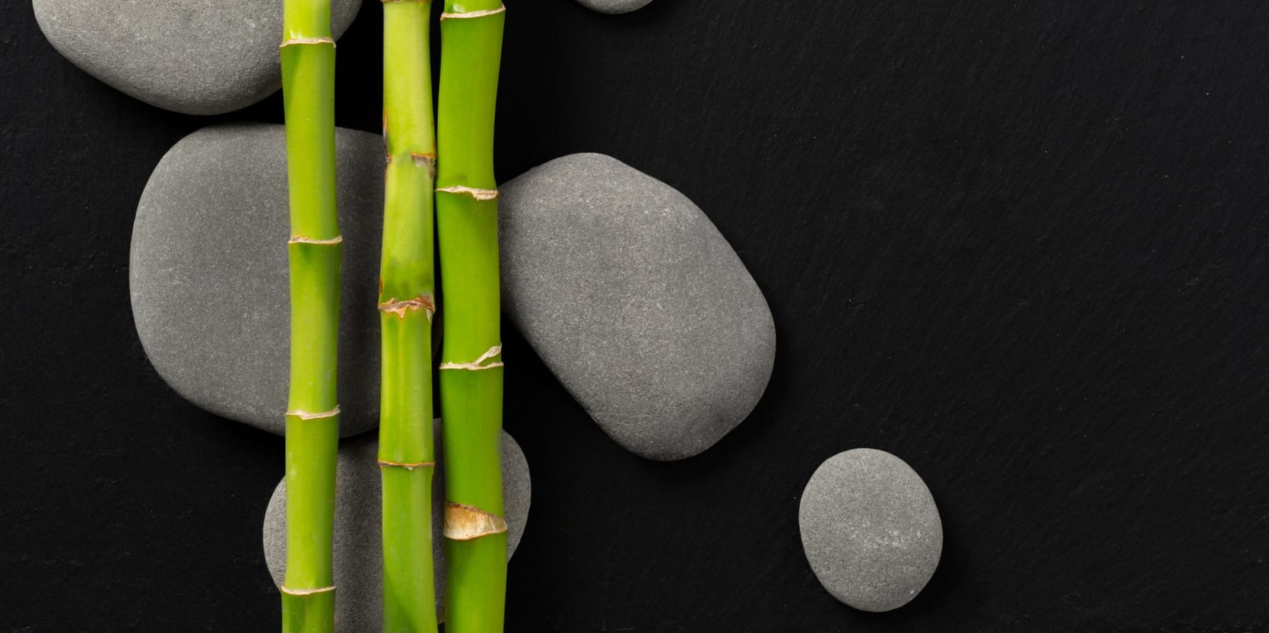 嘉威十大修練－正直（心口合一、誠正信實）