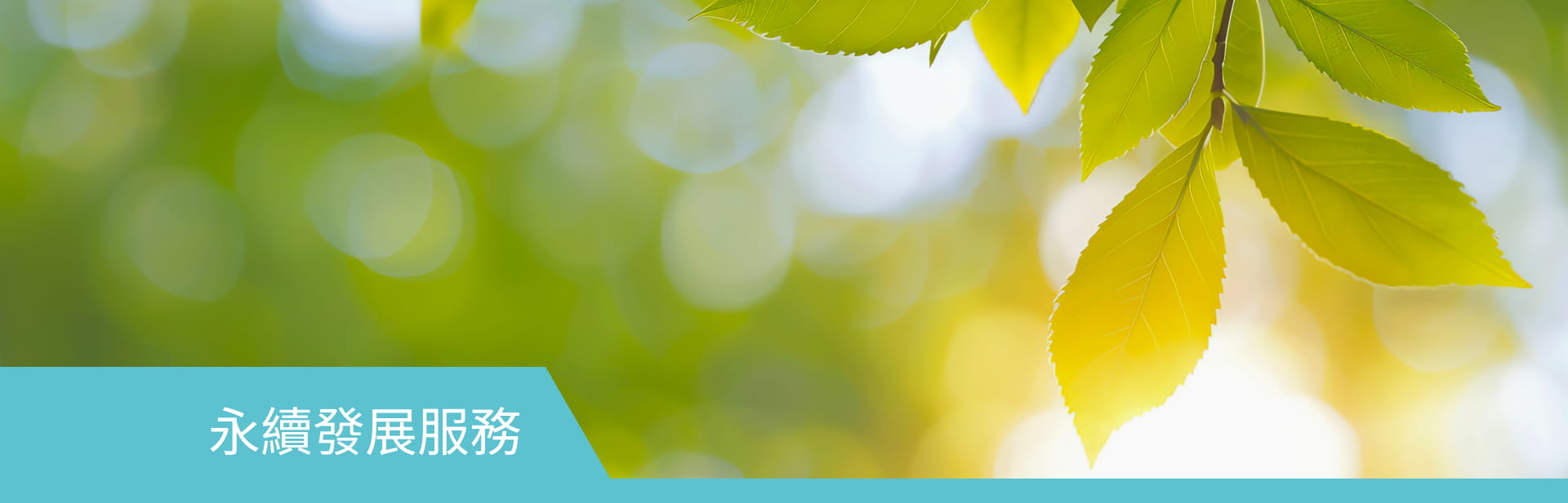 永續發展服務